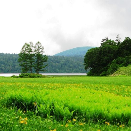 Ōe Marsh