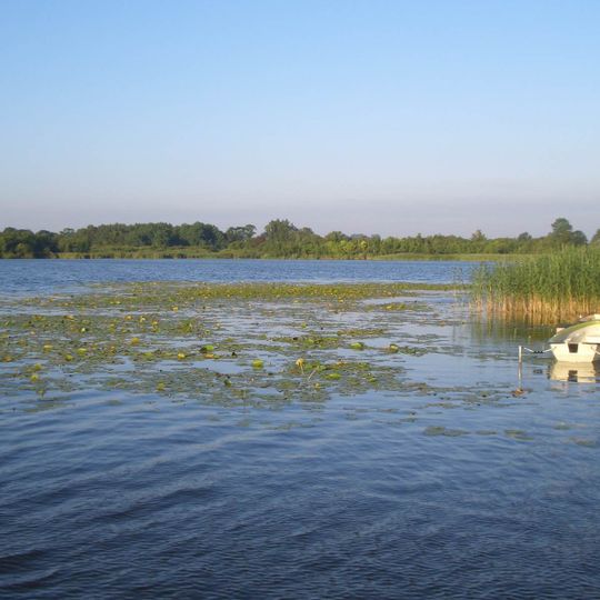 Gutower Moor und Schöninsel