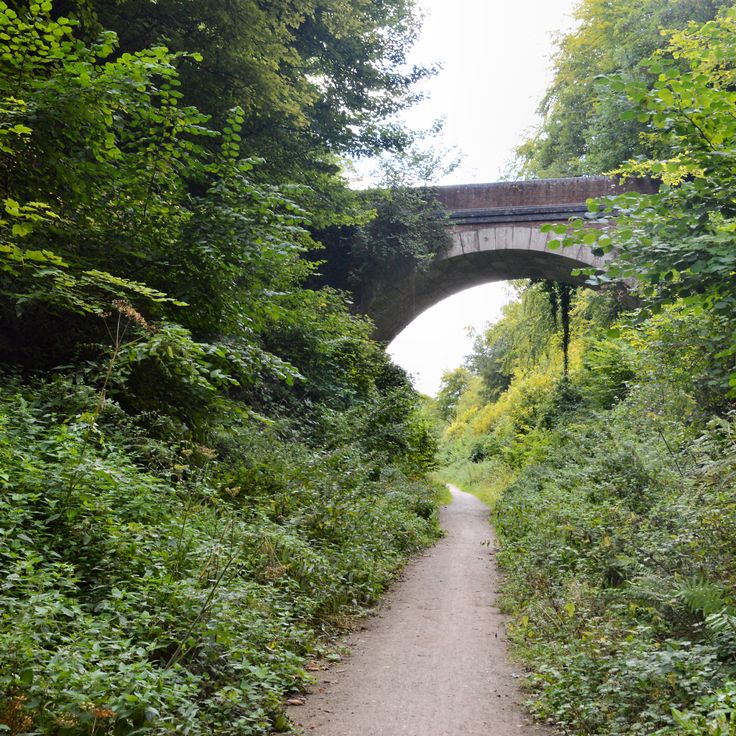 Meon Valley Trail