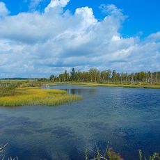 Oredezh River source at Dontzo