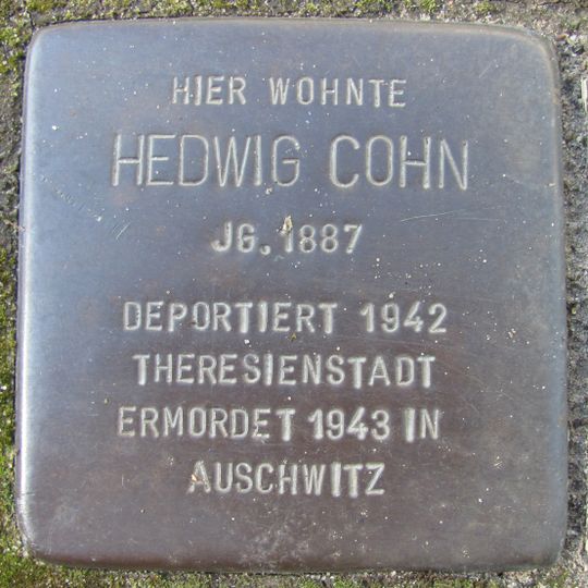 Stolperstein en memoria de Hedwig Cohn