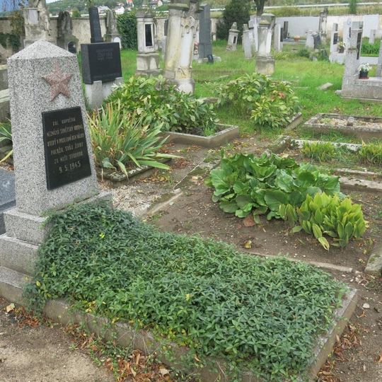 Pomník padlému rudoarmějci na hřbitově u Mlékojed