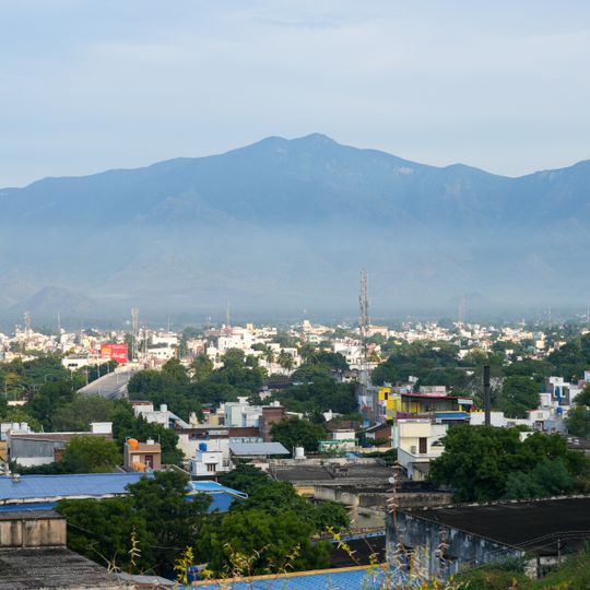 Rajapalayam