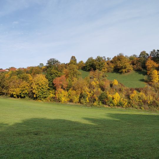 Halbtrockenrasen im Gewann Fuchs