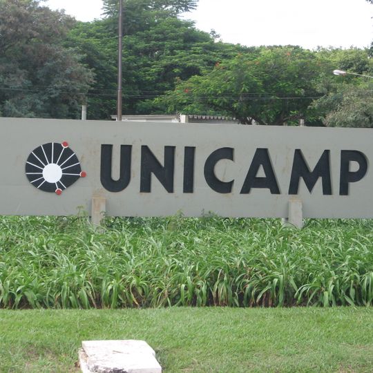 University of Campinas
