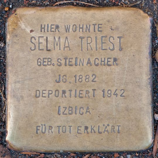 Stolperstein dedicated to Selma Triest