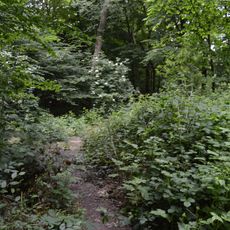 Crowsheath Wood