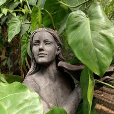 Vlinders aan de Vliet