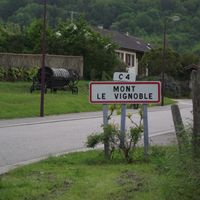 Mont-le-Vignoble
