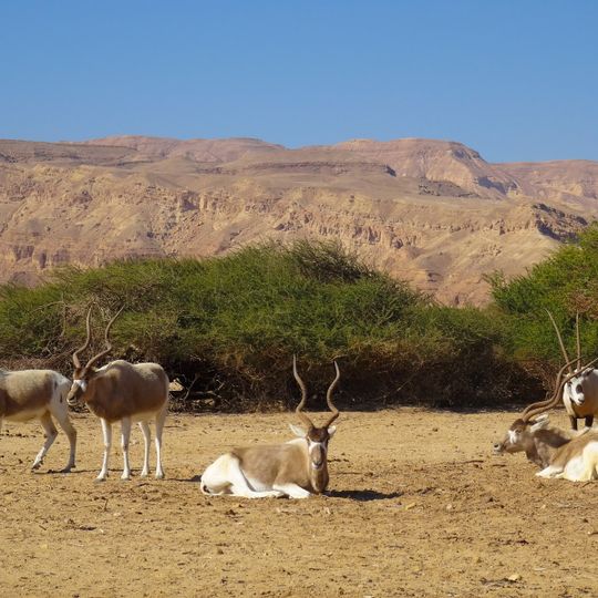 מוזיאון חי-בר יוטבתה