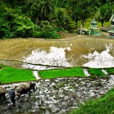 Nurul Hidayah Kajai Mosque