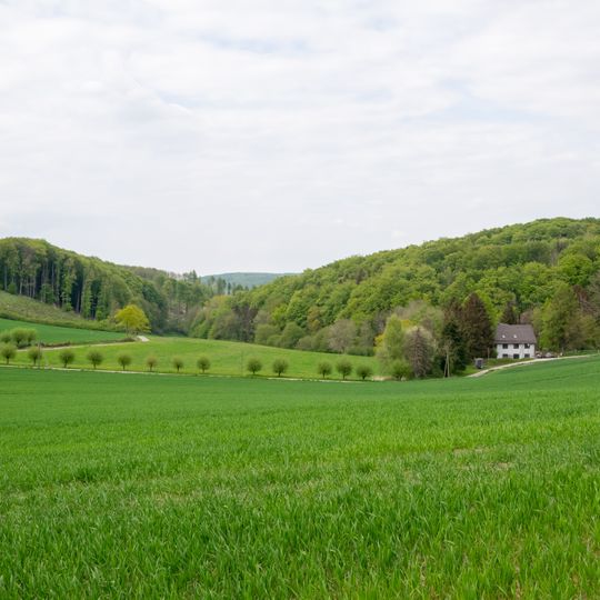 LSG-Bungental/Schellental