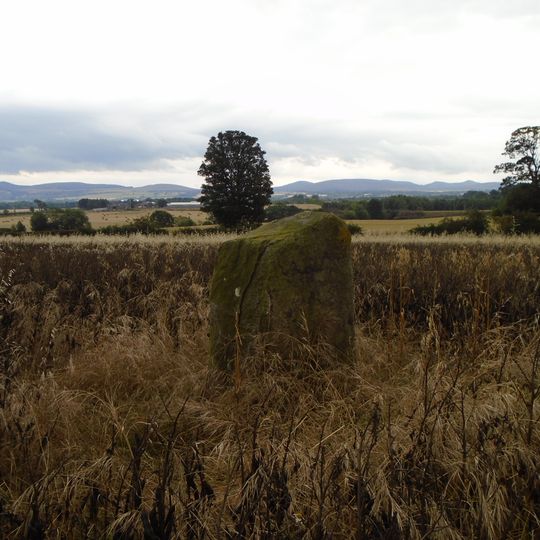Easter Norton,standing stone 280m WSW of