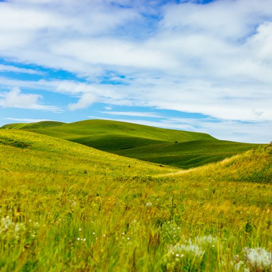 Kitulo National Park