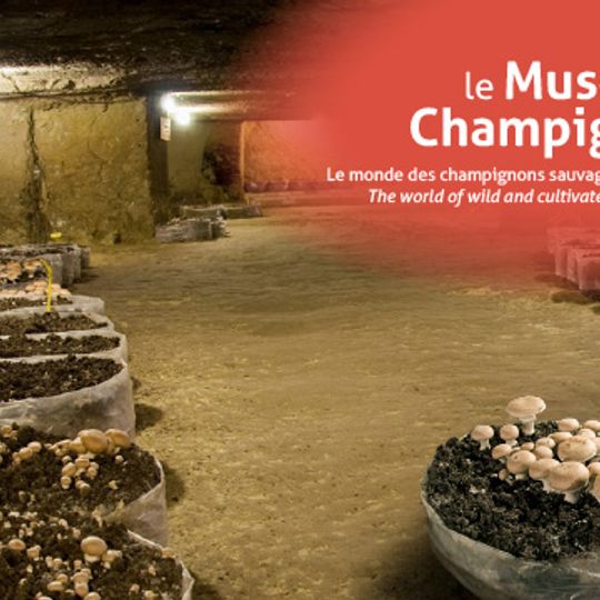 Musée du Champignon