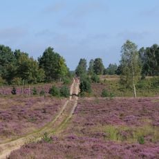 Uckermärkische Seenlandschaft