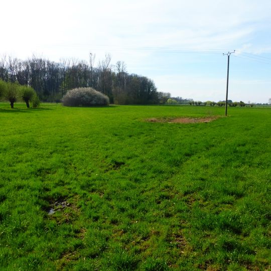 NSG Osternheuland - In den Erlen