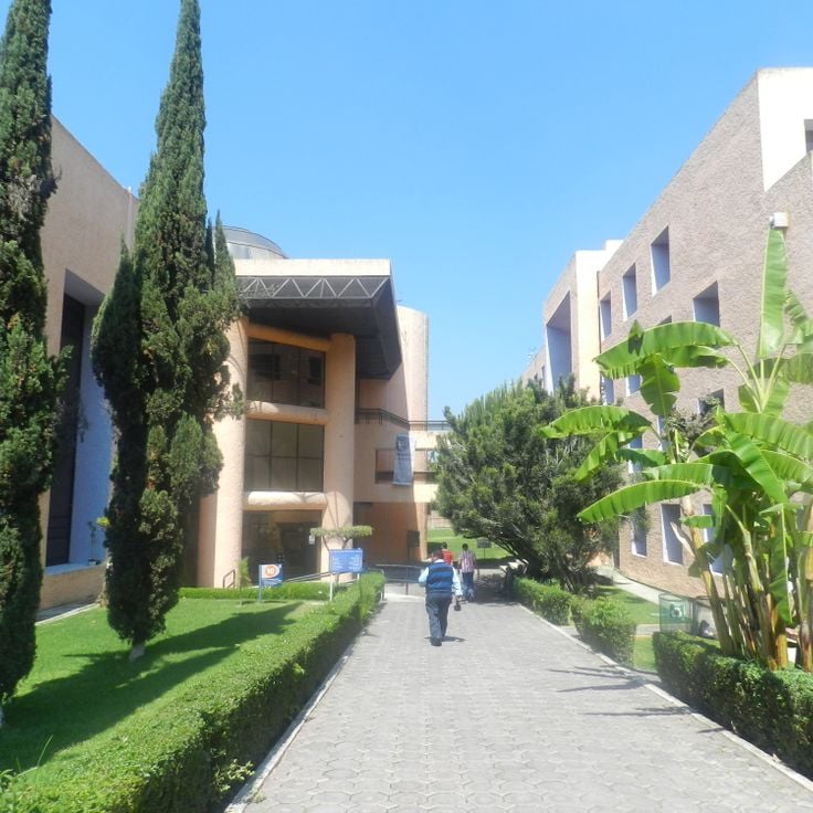 Instituto Nacional de Astrofísica