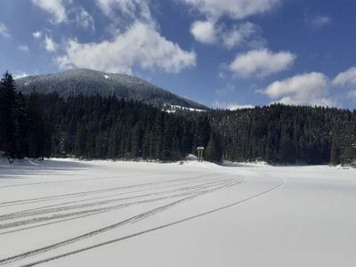 Winter 2