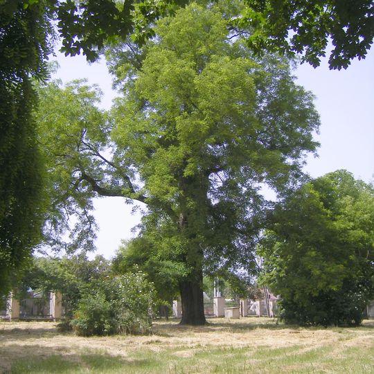 Park pri Ordódyovskej kúrii