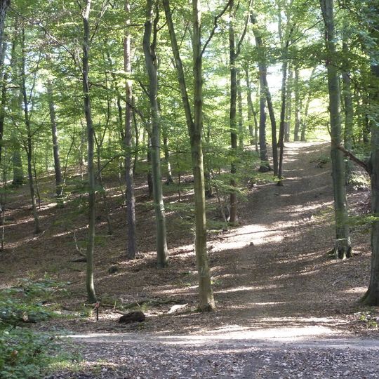Kelsterbacher Terrasse