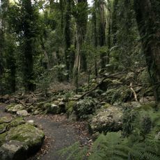Parque nacional Dorrigo