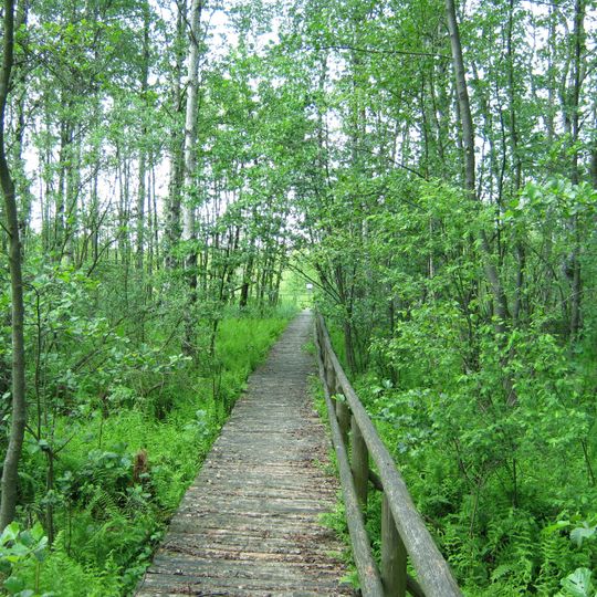 Rezerwat przyrody Torfowisko Serafin