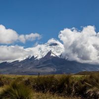 Cotopaxi