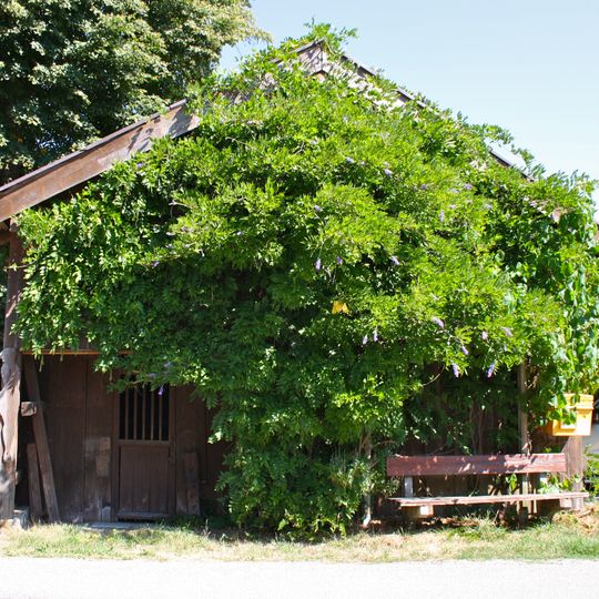 Sog. Estherbauerkapelle, Zum blutenden Heiland