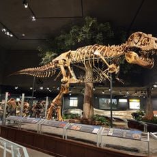 Museum of the Rockies