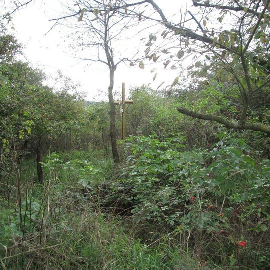 Kříž v lesíku u Tlumačova