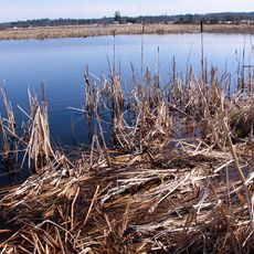 Serpentine Wildlife Management Area