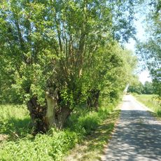 Elser Holz – Rottberg