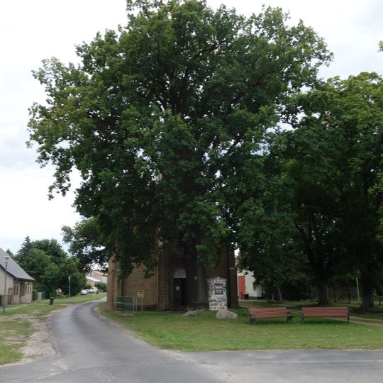 Naturdenkmal Stiel-Eiche Kirchplatz, nördlich der Kirche zwischen Kirche und Denkmal in Klandorf