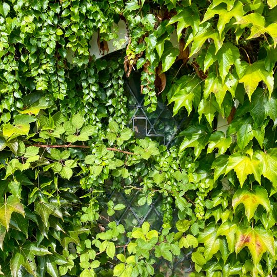 Dreifaltigkeitsmarterl