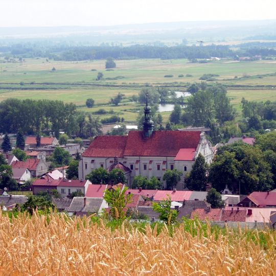 Distretto di Pińczów