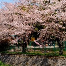 与野中央公園