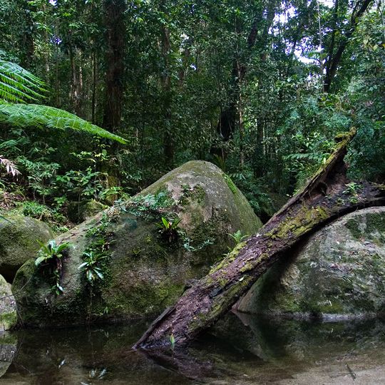 Wet Tropics of Queensland