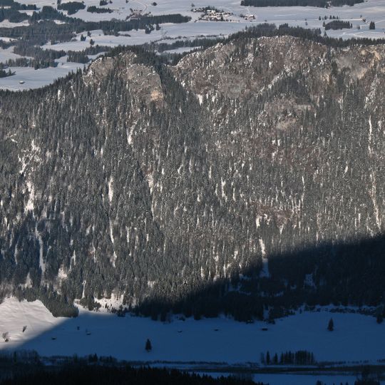 Zwölferkopf