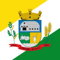 Coronel Bicaco