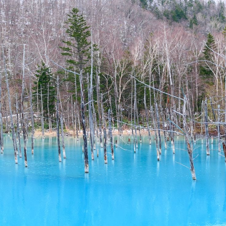 Estanque Azul de Shirogane