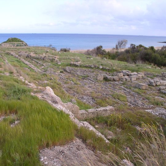 Helorus