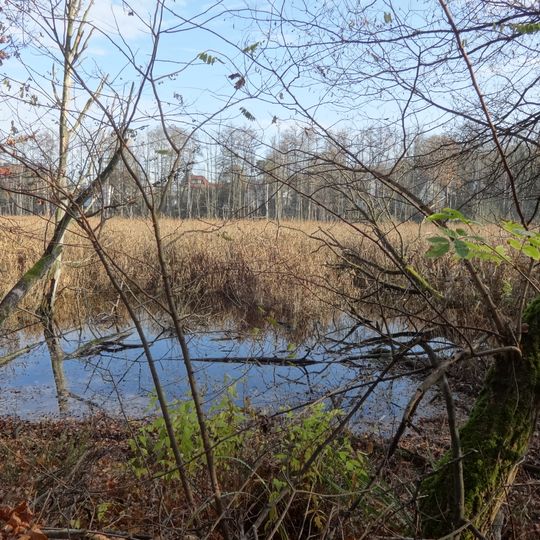 FFH-Gebiet Fließwiese Ruhleben
