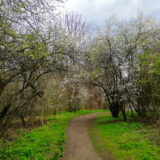 Park Redena w Tarnowskich Górach