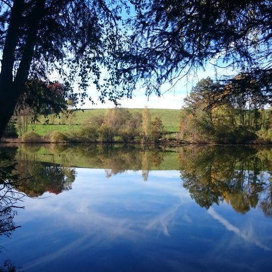 Inschutznahme der Weldner Weiher und der angrenzenden Landschaftsteile in der Gemeinde Fuchstal, Gemeindeteil Welden, Landkreis Landsberg am Lech als LSG