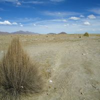 Pantaleón Dalence Province