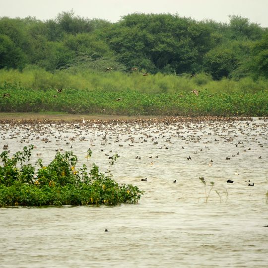 Karaivetti Bird Sanctuary