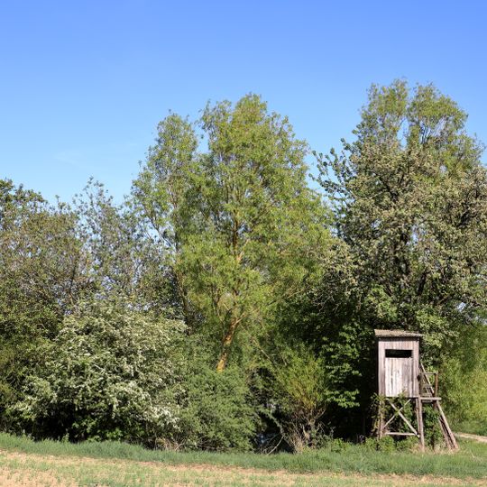 Brunnenstube bei den Igelstruter Wiesen Brühl