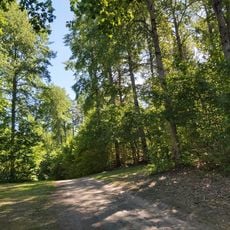 Västra Hargs lövskogar