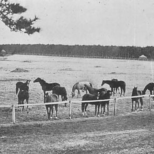 Shimōsa Imperial Stock Farm